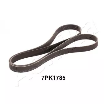 Courroie trapézoïdale à nervures ASHIKA 112-7PK1785