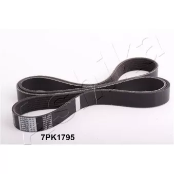 Courroie trapézoïdale à nervures ASHIKA 112-7PK1795