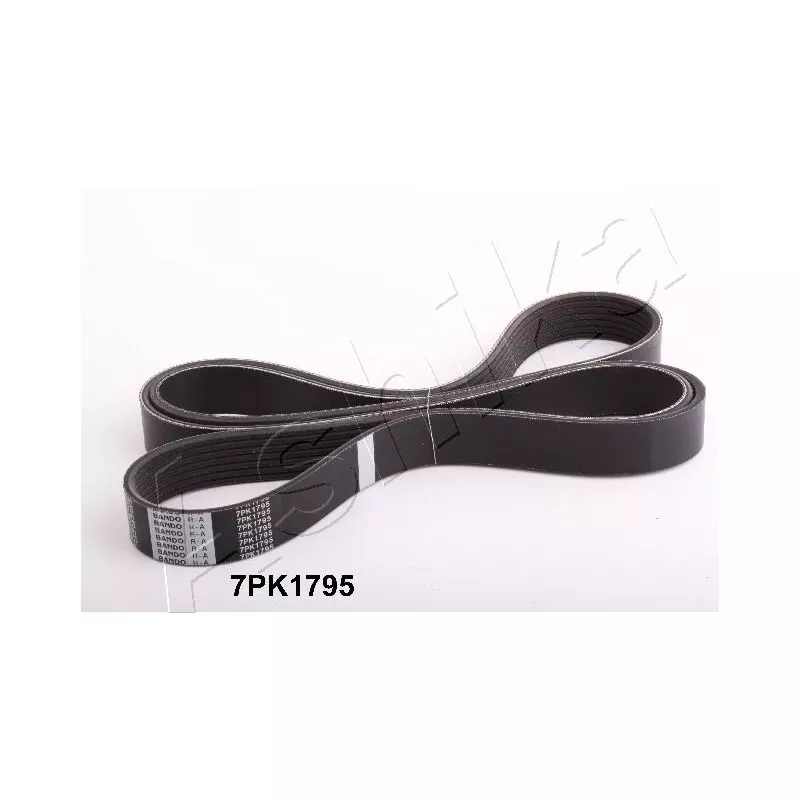 Courroie trapézoïdale à nervures ASHIKA 112-7PK1795