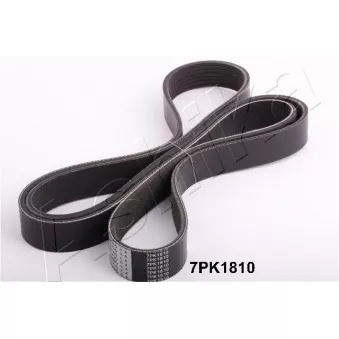 Courroie trapézoïdale à nervures ASHIKA 112-7PK1810