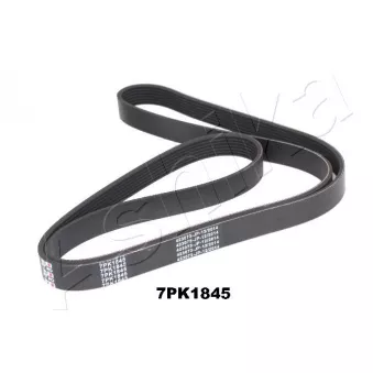Courroie trapézoïdale à nervures ASHIKA 112-7PK1845