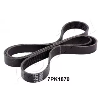Courroie trapézoïdale à nervures ASHIKA 112-7PK1870
