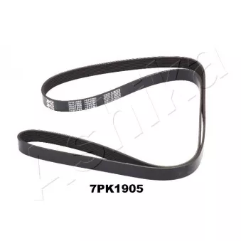 Courroie trapézoïdale à nervures ASHIKA 112-7PK1905