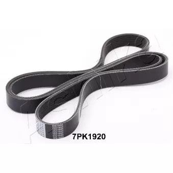 Courroie trapézoïdale à nervures ASHIKA 112-7PK1920