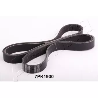 Courroie trapézoïdale à nervures ASHIKA 112-7PK1930