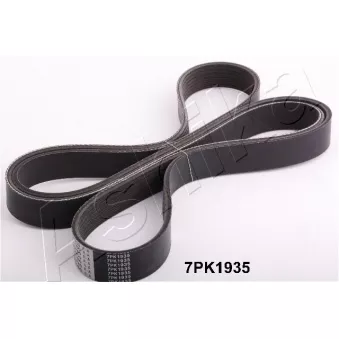 Courroie trapézoïdale à nervures ASHIKA 112-7PK1935
