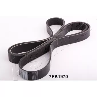 Courroie trapézoïdale à nervures ASHIKA 112-7PK1970