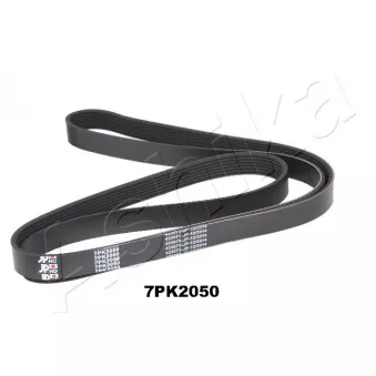 Courroie trapézoïdale à nervures ASHIKA 112-7PK2050