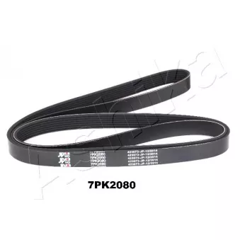 Courroie trapézoïdale à nervures ASHIKA 112-7PK2080