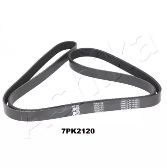 Courroie trapézoïdale à nervures ASHIKA 112-7PK2120