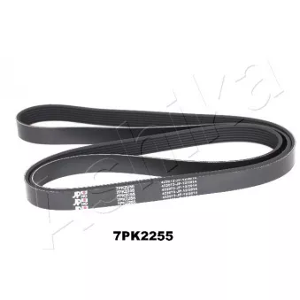 Courroie trapézoïdale à nervures ASHIKA 112-7PK2255