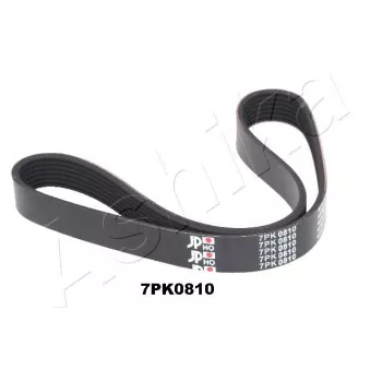 Courroie trapézoïdale à nervures ASHIKA 112-7PK810