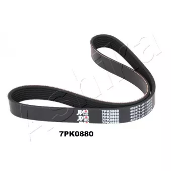 Courroie trapézoïdale à nervures ASHIKA 112-7PK880