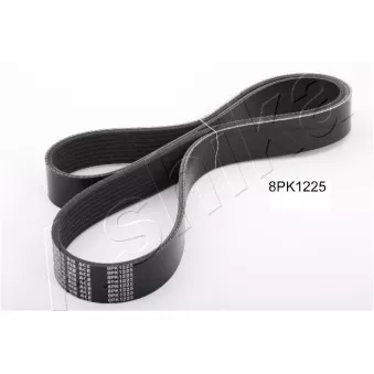 Courroie trapézoïdale à nervures ASHIKA 112-8PK1225