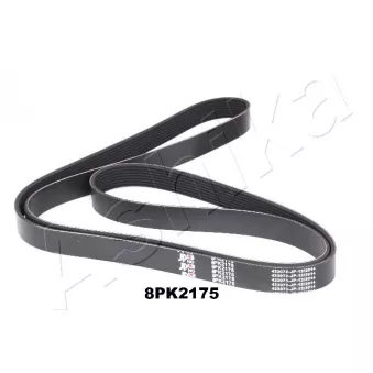 Courroie trapézoïdale à nervures ASHIKA 112-8PK2175