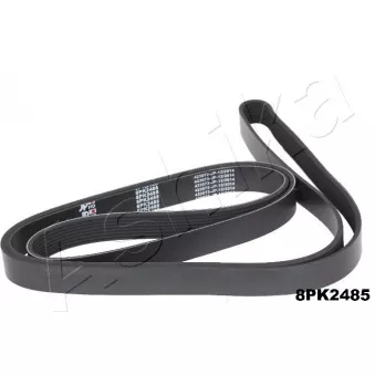 Courroie trapézoïdale à nervures ASHIKA 112-8PK2485