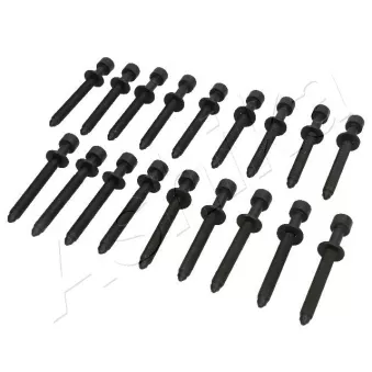 Vis de culasse ASHIKA 115-01-104