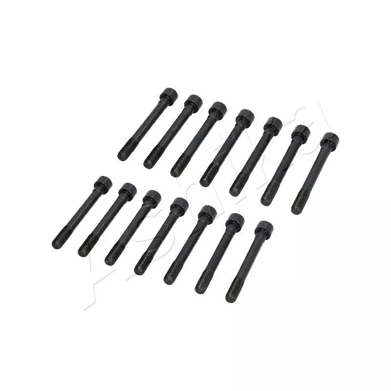 Vis de culasse ASHIKA 115-01-106