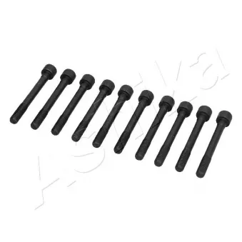 Vis de culasse ASHIKA 115-01-109