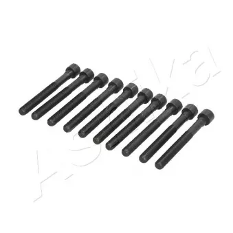 Vis de culasse ASHIKA 115-01-110