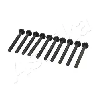 Vis de culasse ASHIKA 115-01-113