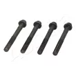 Boulon de culasse de cylindre ASHIKA 115-02-200 - Visuel 1