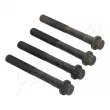 Boulon de culasse de cylindre ASHIKA 115-02-200 - Visuel 2