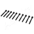 Vis de culasse ASHIKA 115-02-204 - Visuel 1