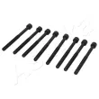 Vis de culasse ASHIKA 115-02-205 - Visuel 1