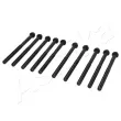 Vis de culasse ASHIKA 115-02-206 - Visuel 1