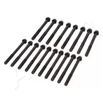 Vis de culasse ASHIKA 115-02-208