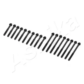 Vis de culasse ASHIKA 115-02-212