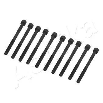 Vis de culasse ASHIKA 115-02-213