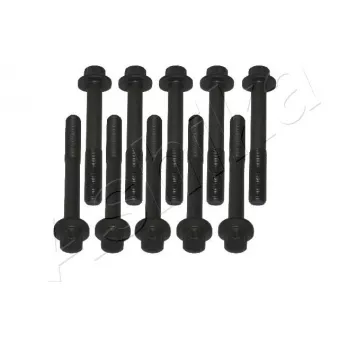 Boulon de culasse de cylindre ASHIKA 115-03-300