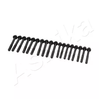 Vis de culasse ASHIKA 115-03-303