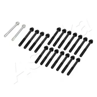 Vis de culasse ASHIKA 115-05-505