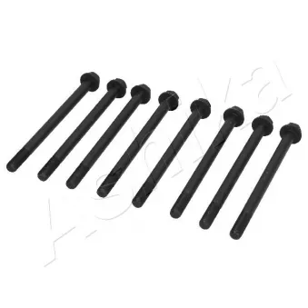 Vis de culasse ASHIKA 115-06-601