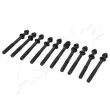 Vis de culasse ASHIKA 115-08-803 - Visuel 1