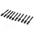 Vis de culasse ASHIKA 115-08-803 - Visuel 2