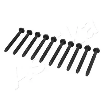 Vis de culasse ASHIKA 115-08-804