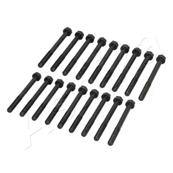 Vis de culasse ASHIKA 115-09-900