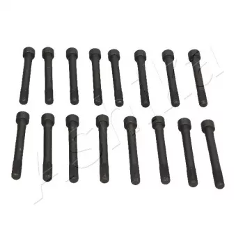 Boulon de culasse de cylindre ASHIKA 115-0H-H01