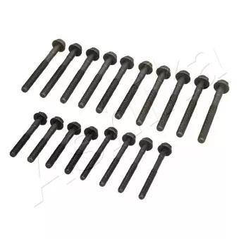 Vis de culasse ASHIKA 115-0L-L00