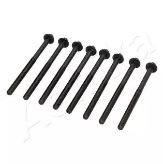 Vis de culasse ASHIKA 115-0M-M00