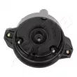 Tête d'allumeur ASHIKA 121-0W-W00 - Visuel 1