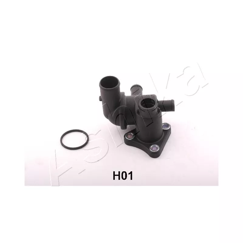 Thermostat d'eau ASHIKA 125-0H-H01