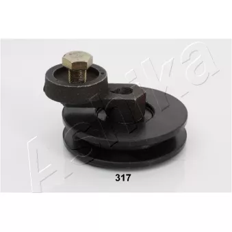 Poulie renvoi/transmission, courroie trapézoïdale à nervures ASHIKA