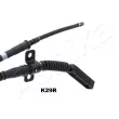 Tirette à câble, frein de stationnement arrière droit ASHIKA 131-0K-K29R - Visuel 3