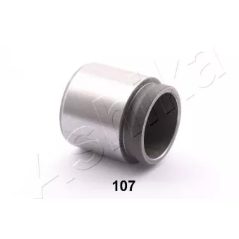 Piston, étrier de frein ASHIKA 133-01-107
