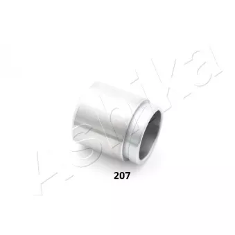 Piston, étrier de frein ASHIKA 133-02-207